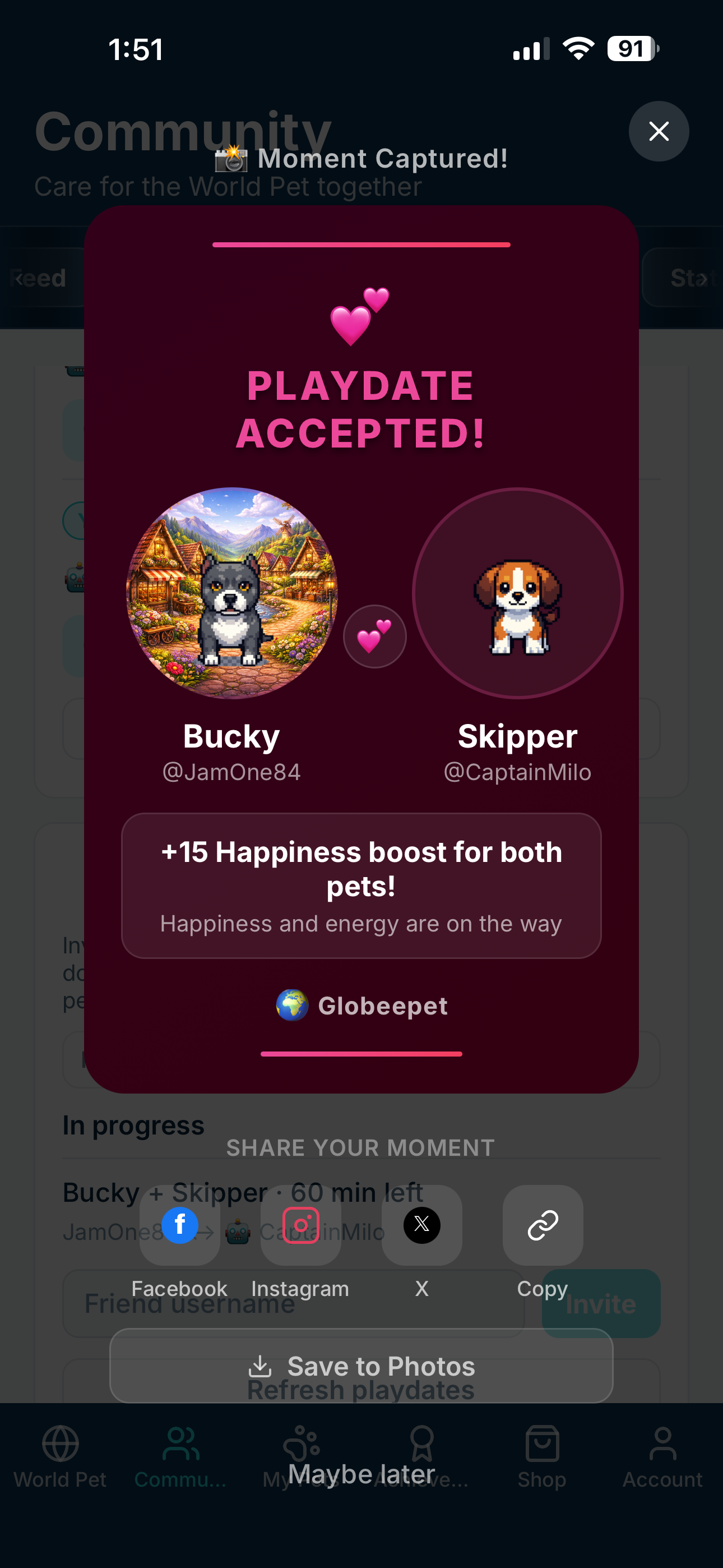 Globeepet playdate accepted screen with two pets